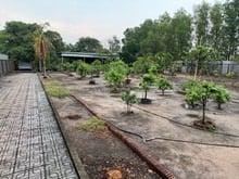 Hình ảnh Đất vĩnh lộc a bình chánh kênh trung ương 2280m2 chỉ 40 tỷ