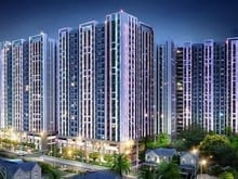 Hình ảnh Cho thuê Richstar Giá chỉ 11tr/th căn 53m2,2PN,1wc, Nội thất đẹp
