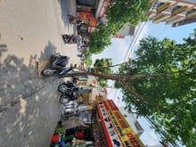 Hình ảnh LÔ DUY NHẤT KHÔNG  có lô thứ 2 tai Trâu Qùy Qùy