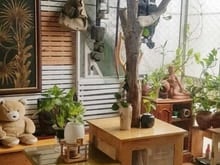 Hình ảnh TT Trại Găng -Thanh Nhàn-Hai Bà Trưng-2 thoáng-Sổ to-Dt90m-3n-giá 2,8t