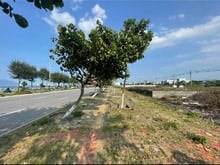 Hình ảnh 🌞Bán nhanh 1 tháng.Không bán nữa. Hà khê Thanh Khê Đà Nẵng DT100m2
