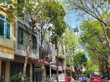 Hình ảnh Bán nhà xala Hà Đông 7 tầng thang máy-ô tô chạy vòng quanh