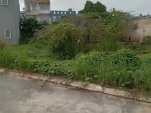 Hình ảnh BÁN Đất Thổ cư- Siêu bự- Giá rẻ: Nguyễn Duy Trinh, Long Trường, Q9