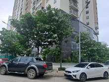 Hình ảnh Bán nhà Nguyễn Văn Cừ, nhà mới 5 tầng, vài bước ra ô tô tránh, 5.28 tỷ
