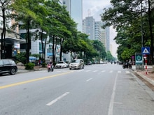 Hình ảnh Mặt phố Nguyễn Trường Tộ, được xây cao tầng, 300m2, MT 11m, 1 sổ 1 chủ