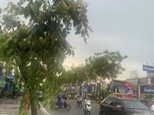 Hình ảnh Bán đất quận 2, Bán đất mặt tiền đường Trần Não