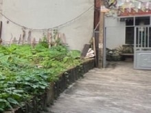 Hình ảnh Bán đất thổ cư phúc lợi long biên 39m2 giá nhỉnh 3 tỷ