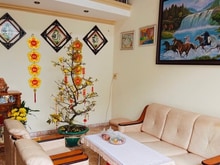 Hình ảnh Mt Lý Thái Tông, Dt 250m2, Nhà C4, Đg 15m, Giá 16 Tỷ.
