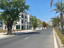 Hình ảnh Trước thềm khai trương vincom-Cập nhật giỏ hàng cho thuê vinhomes gran