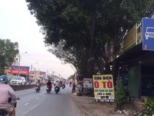 Hình ảnh Bán Đất thổ cư Mặt tiền đường Nguyễn Văn Bứa, huyện Bình Chánh