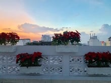 Hình ảnh Cho thuê phòng giá rẻ quận 1 đầy đủ tiện nghi gần chợ Tân Định