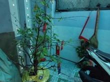 Hình ảnh Nhà đẹp 4 Tầng , Quận 12, Hẻm 8m, Gần Nguyễn Ảnh Thủ, 6.5x13m.