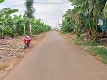 Hình ảnh Bán 4035m, Mặt Tiền đường nhựa, xã Thanh Bình, huyện Trảng Bom