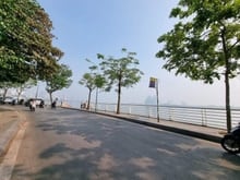Hình ảnh Nhà phân lô Trích Sài, cách mặt Hồ Tây 1 nhà, lô góc ô tô tránh, 150m2
