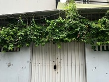 Hình ảnh ♥️🌺🌸Lê Quang Định - Gò Vấp -55m2 -HXH - Có Thang Máy -Nhỉnh 7 Tỷ