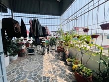 Hình ảnh Nhà Bằng Liệt 43m2 x5 tầng,đẹp, ngõ oto đỗ cửa,ngõ thông,giá 5.1tỷ