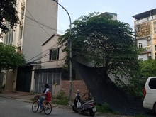Hình ảnh Bán mảnh đất gần phố Cổ Bi Gia Lâm 35m 3.4tỷ ngõ KD oto đỗ tránh. Thúy