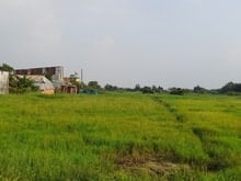 Hình ảnh Đất Đẹp Mặt Tiền Lê Thị Hà Hóc Môn 1.700m2 Kinh Doanh Siêu Đỉnh