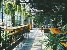 Hình ảnh Cho thuê MBKD Mặt phố VẠN PHÚC - 160m2 - Mặt tiền 17m - CAFE sân Vườn