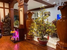 Hình ảnh Biệt thự siêu đẹp khu bờ sông Trần Não, Quận 2. DT: 360m2. Giá: 78 tỷ