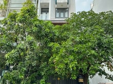 Hình ảnh Cần bán nhà siêu vị trí đường Quốc Hương-Thảo Điền Nhà 4 Tầng HĐT 50tr