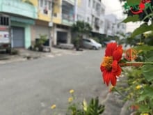 Hình ảnh Bán nhà cấp 4 đẹp, mặt tiền kinh doanh KDC Bửu Long 1, Biên Hòa