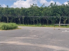 Hình ảnh Đầu tư siêu lợi nhuận, Đất đẹp đường Tân Thới Hiệp,DT 120m2 , SHR