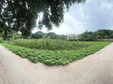 Hình ảnh Bán lô đất 1350m2  ở xã Đại Thành, Quốc Oai, lô góc, ô tô, chỉ 14.5 tỷ