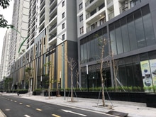 Hình ảnh Cho thuê MBKD phố Xuân La -DT 1000m- MT 25m