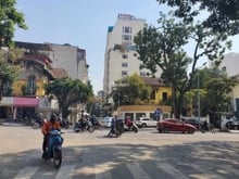 Hình ảnh Cho thuê MBKD phố Quang Trung- DT 200m - 7 tầng