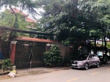 Hình ảnh Cho Thuê Biệt Thự An Phú Quận 2, DT lớn, Nhà đẹp giá tốt