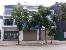 Hình ảnh Cho thuê 3 căn liền kề KĐT Xuân Phương làm văn phòng, để ở, kho hàng,