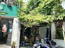 Hình ảnh Cho Thuê Nhà Phạm Ngọc Thạch, Phường 6, Quận 3 - Ngang 6 x 15