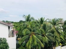 Hình ảnh Bán biệt thự cực đẹp stlyle hiện đại hồ bơi Thảo Điền Q 2. 200m2.38 tỷ