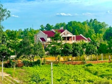 Hình ảnh Siêu biệt thự vườn rộng hơn 4200m2 ngay TP Củ Chi giá siêu ngon !