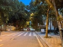Hình ảnh Biệt thự tuyệt đẹp Vườn đào Lạc Long Quân, 210m, MT 15m, giá bán 93 tỷ