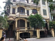 Hình ảnh Cho thuê MBKD phố Linh Lang - Ba Đình DT 400m2x 3.5 tầng x 20m MT