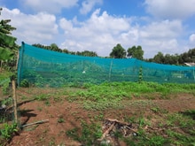 Hình ảnh Bán gấp lô đất 15.000m2,85x180m,Giá 9TR/M2 TL,Long Phước Q.9 Đối diện