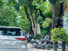 Hình ảnh Lô Đất XD Theo Nhu Cầu Khu Trung Tâm Phố Đêm Xuân Thủy Thảo Điền