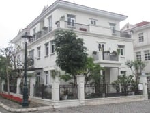 Hình ảnh Biệt thự cho thuê làm văn phòng hoặc để ở