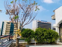 Hình ảnh Mặt phố Thanh Nhàn-đối diện viện Thanh nhàn, vỉa hè đá bóng