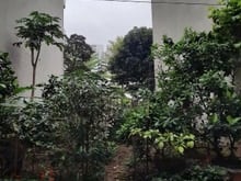 Hình ảnh Đất phân lô Văn cao View Hồ tây. Lô góc 3 thoáng. 105m2 MT 8m hơn 23T