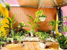 Hình ảnh Bán Nhà Tây Hồ Ngõ 175 Phố Lạc Long Quân,45m2, Dân Xây, Gần Oto