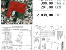 Hình ảnh Bán 12039m2 mặt tiền Hoàng Phan Thái. Cách Quốc Lộ 1 A 100m, 1510 thổ