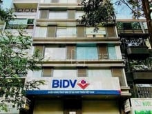 Hình ảnh Chuyển Nhượng Tòa Nhà Văn Phòng  MẶT TIỀN PHẠM NGỌC THẠCH, QUẬN 3