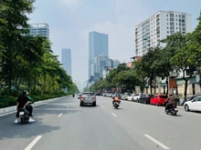 Hình ảnh Mặt phố Liễu Giai, 300m2 9 tầng có hầm, hiệu suất cao, giá bán 251 tỷ