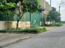 Hình ảnh Cần Cho Thuê Xưởng Văn Điển 2000m2 Phù Hợp Mọi Mô Hình Sản Xuất Cont v