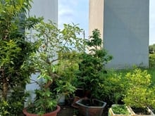 Hình ảnh Đất thổ cư khu dân cư gần cảng Phú Hữu