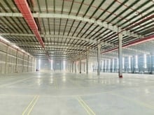 Hình ảnh Cho thuê Kho Xưởng Nguyên Khê Đông Anh 1260m2 Giá 50k/m2