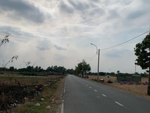 Hình ảnh Bán 9309m2 đất mặt tiền nguyễn thị đành, xã xuân thới sơn, huyện hóc